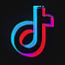 TT Icon